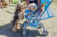 /album/gincao/a11855908-723328091127598-1255792535594022364-n-jpg/